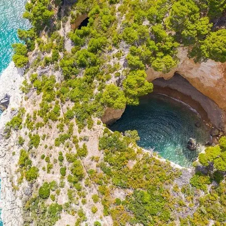 A Casa Da Carla Apartment *